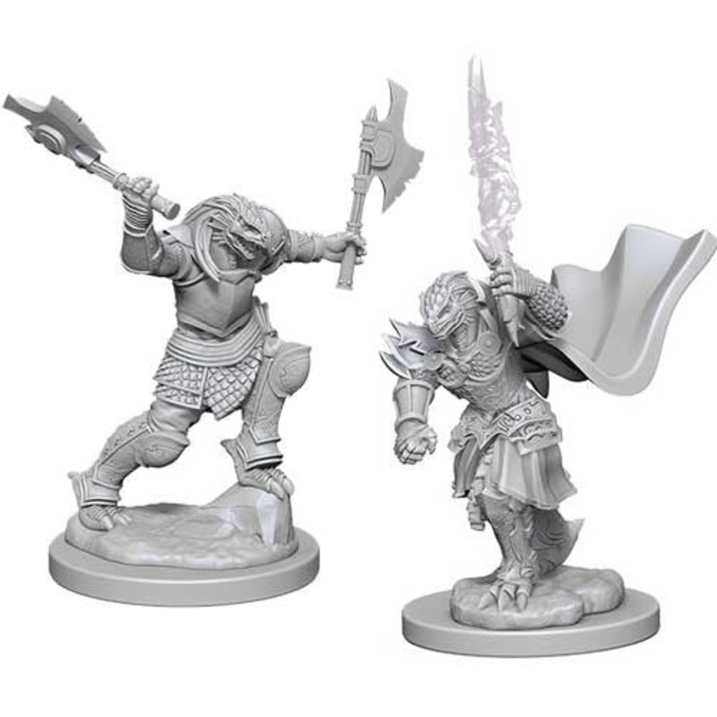 D&D Mini (W04): Female Dragonborn Fighter