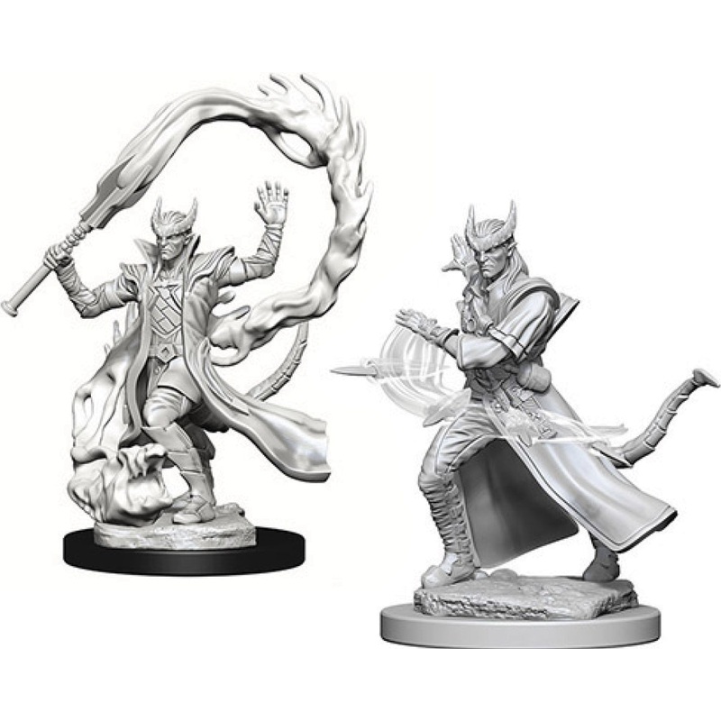 D&D Mini (W04): Male Tiefling Sorcerer
