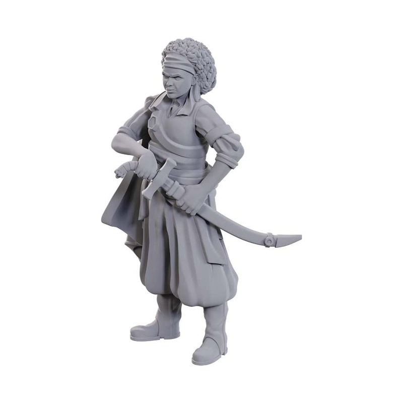 D&D Mini (W23): Ansalon Human Rogue