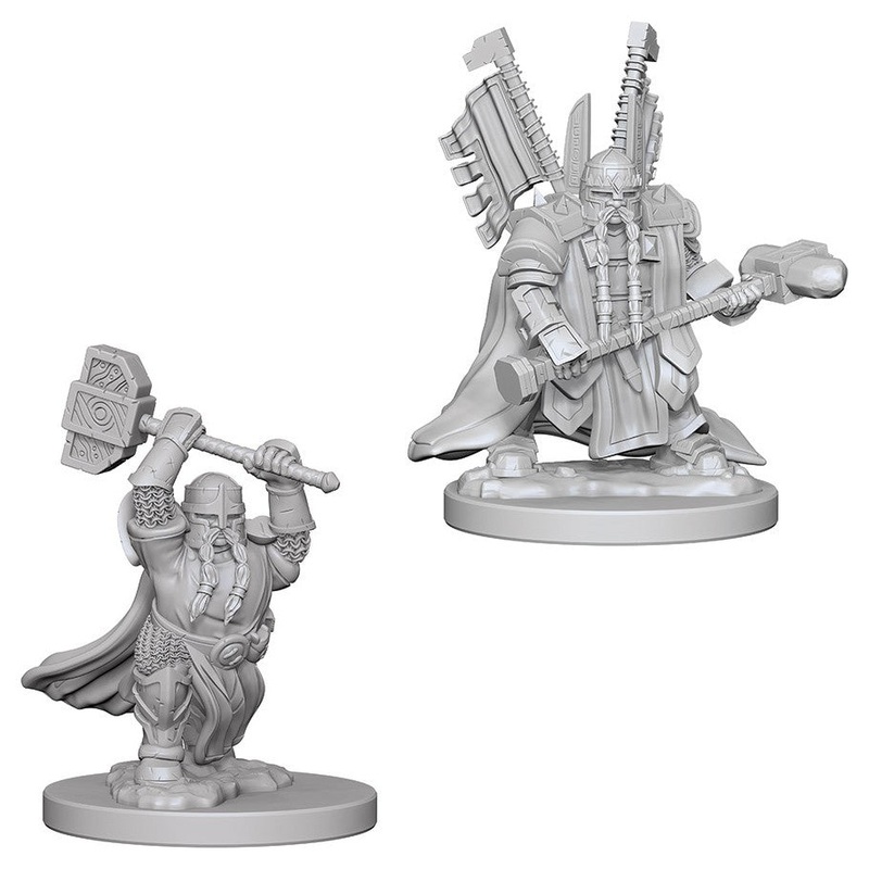 D&D Mini (W04): Male Dwarf Paladin