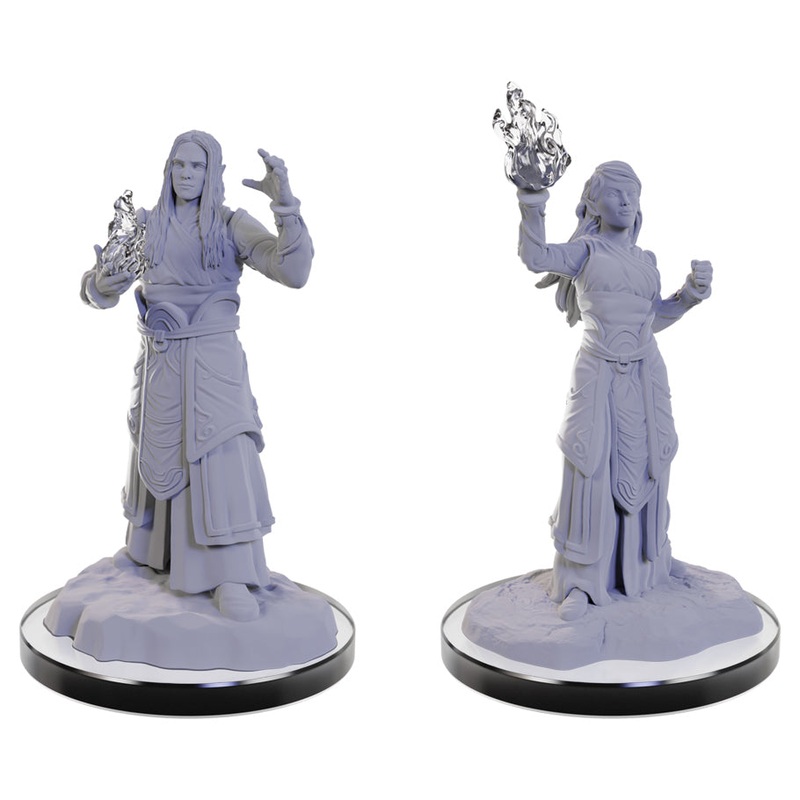 D&D Mini (W22): Elf Wizards