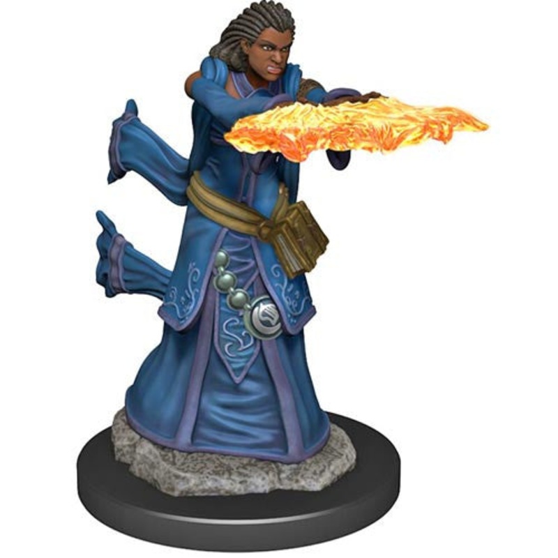 D&D Painted Mini: Female Human Wizard