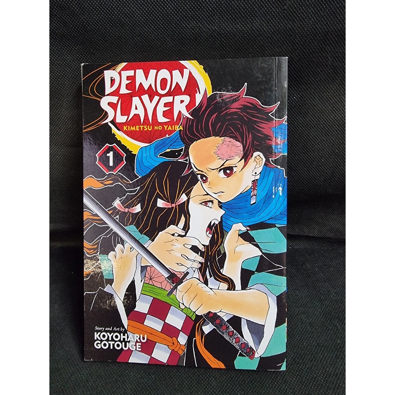 DEMON SLAYER KIMETSU NO YAIBA  VOL1
