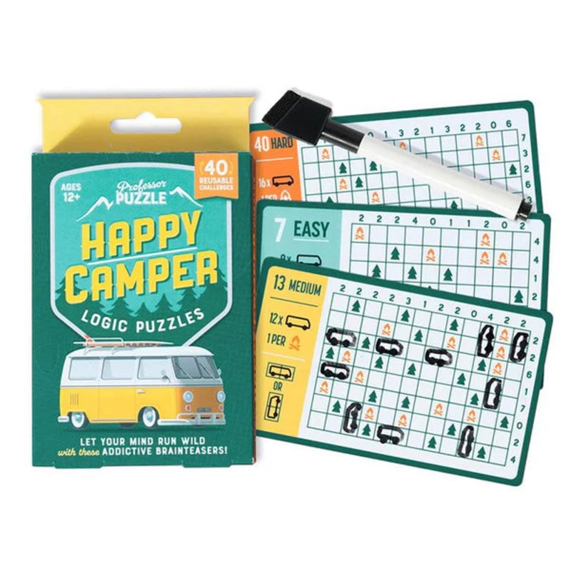 Logic Puzzles (Professor Puzzle)