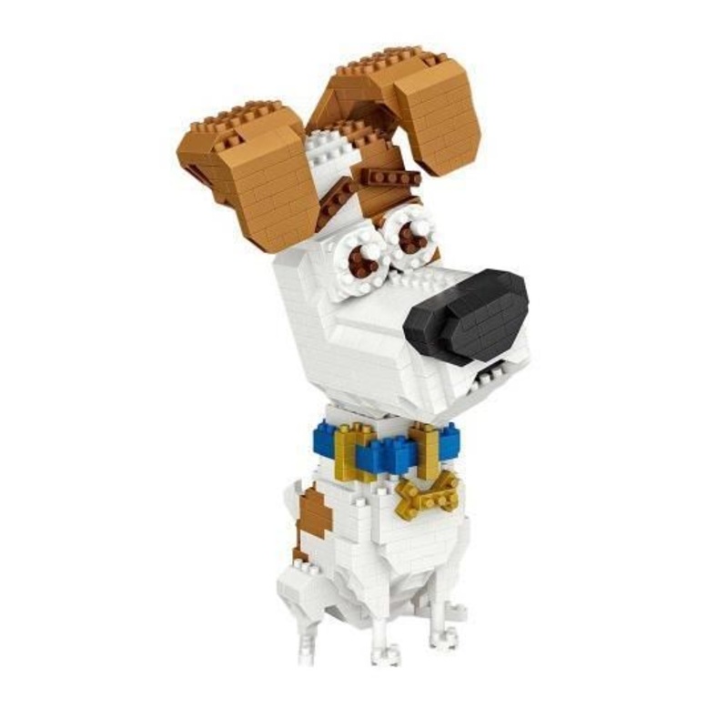 Jack Russell Dog