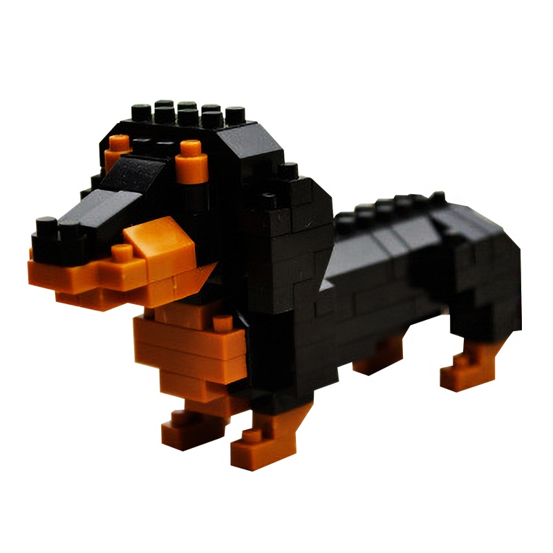 Cute & Tiny Dachshund
