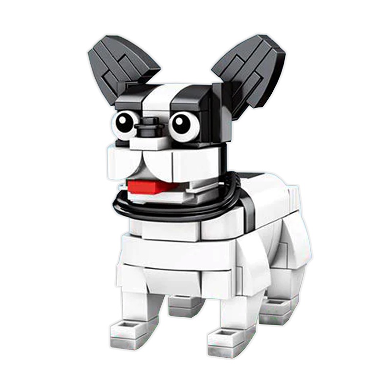 Little Boston Terrier