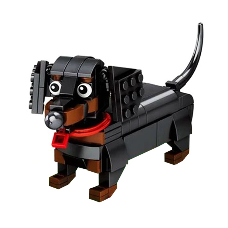 Little Funny Dachshund