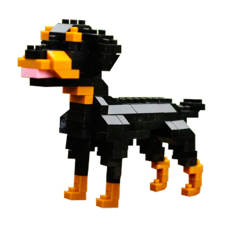 Little Rottweiler