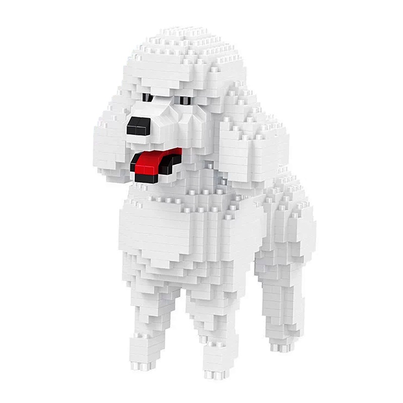 Little White Poodle