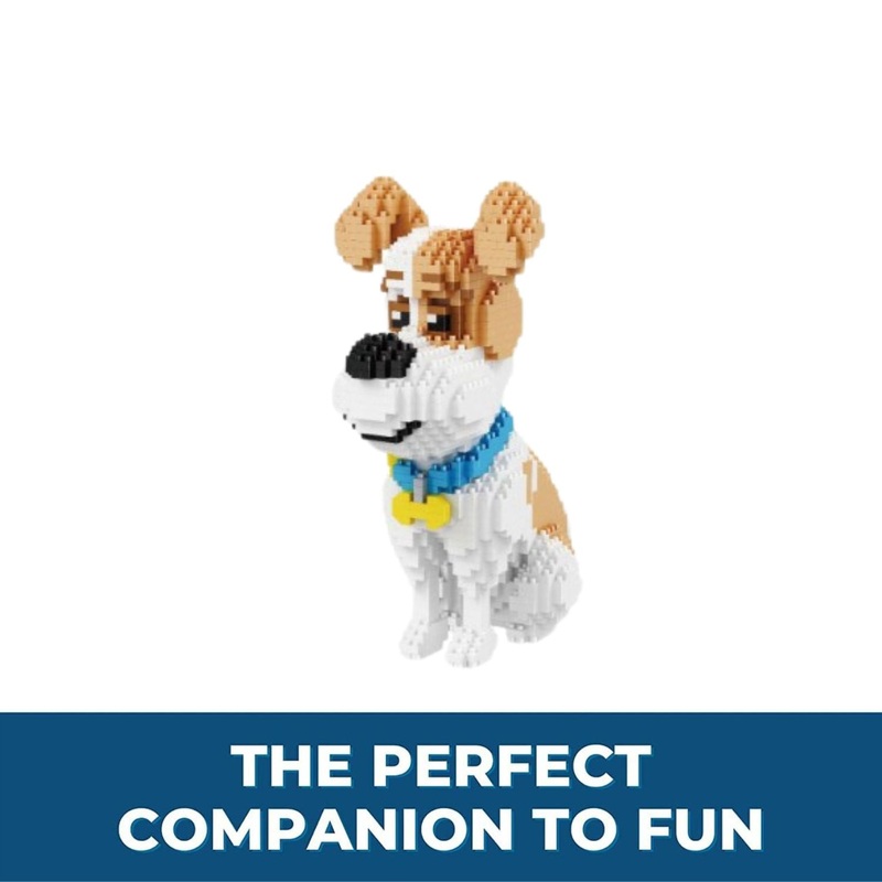 Jack Russell sitting