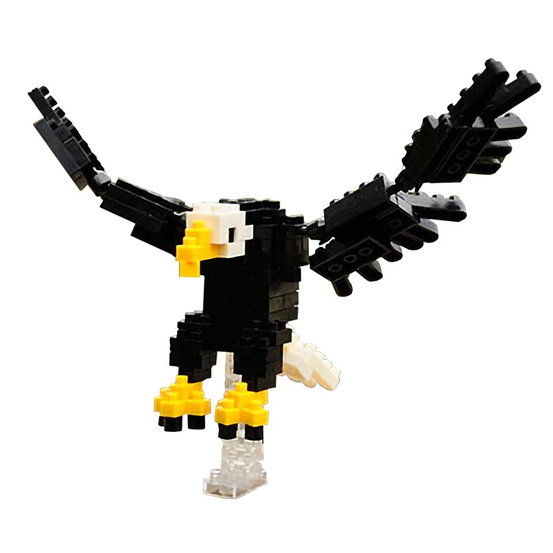 Little Bald Eagle