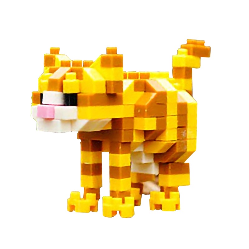 Little Tabby Cat