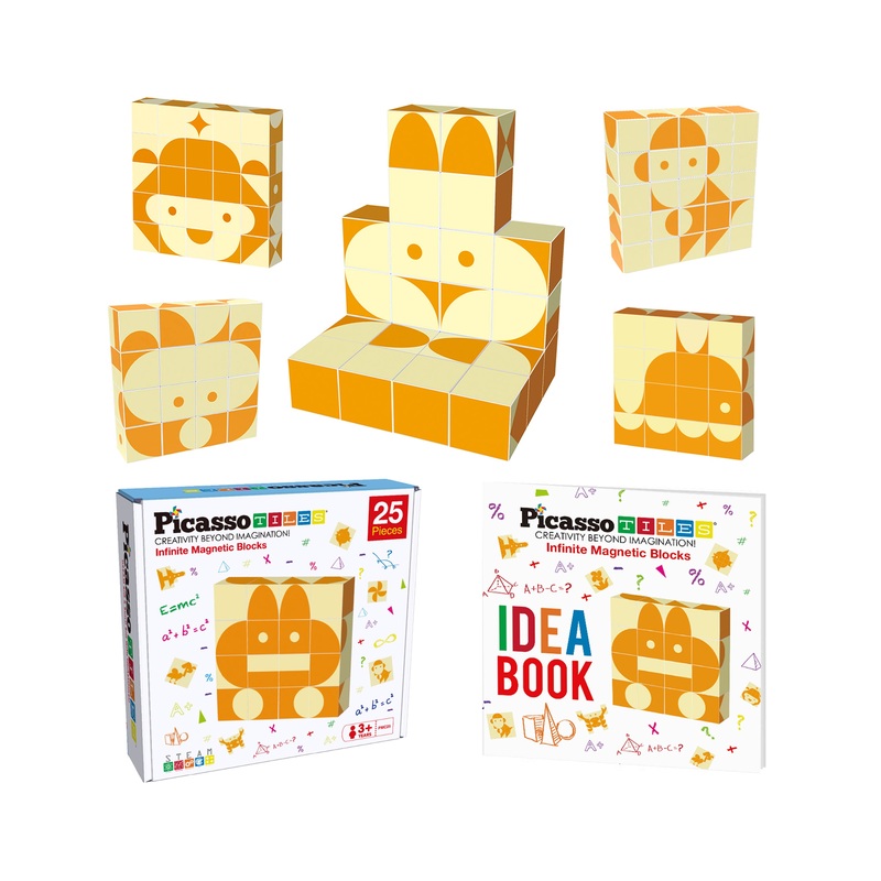 Mix and Match 25 Piece Magnetic Puzzle Cube Set