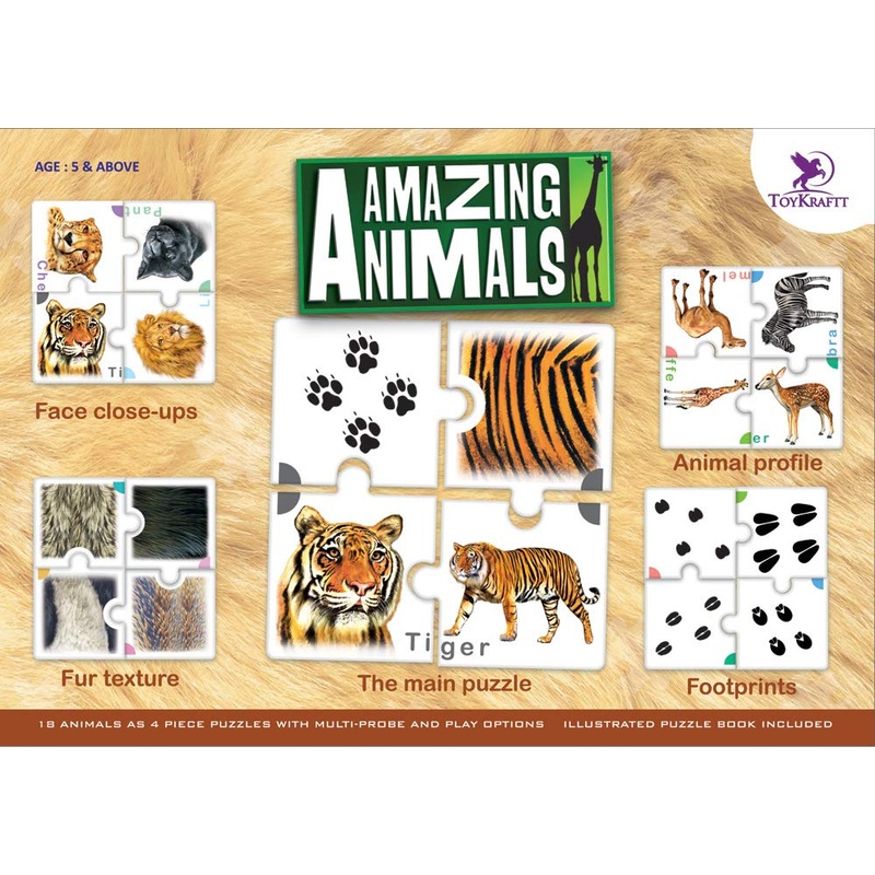 Amazing Animals