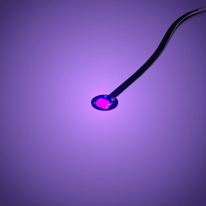 Astro Light Regular - Purple 30cm (4 Pack)