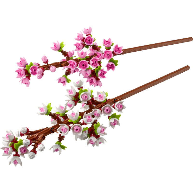 Cherry Blossoms - 40725