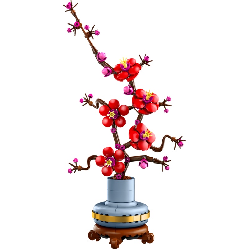 Plum Blossom - 10369