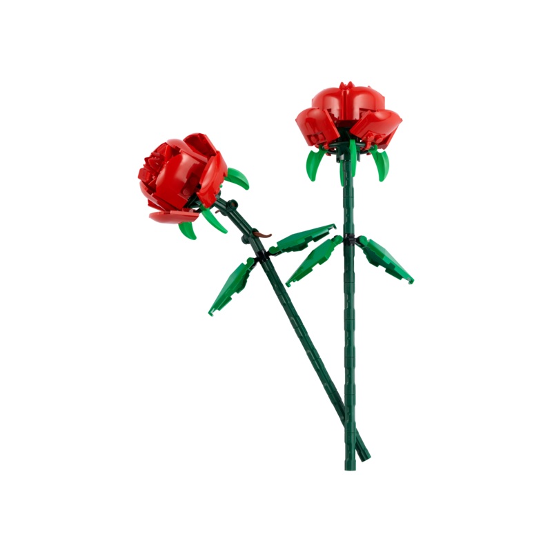 Roses - 40460