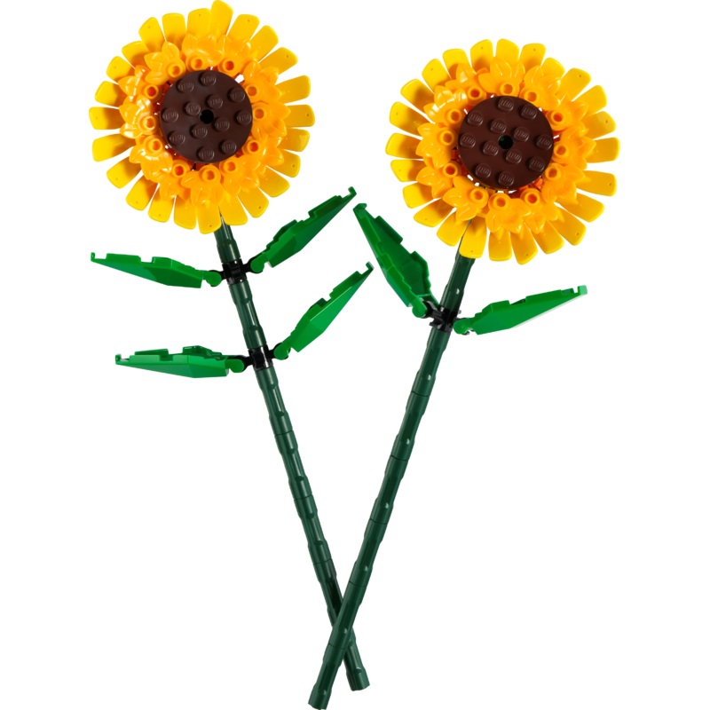 Sunflowers - 40524