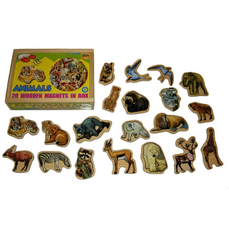 20 Pcs Magnetic Animals in Wooden Box