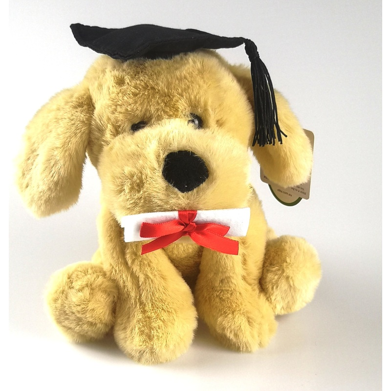 Graduation Dog Buddy - 18cm