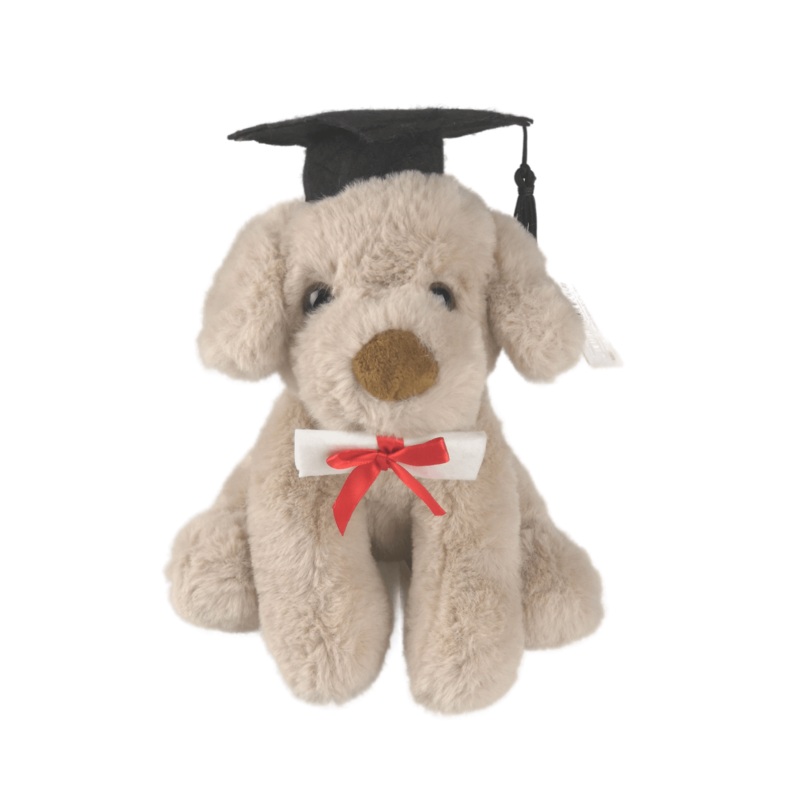 Graduation Dog Rocky - 20cm