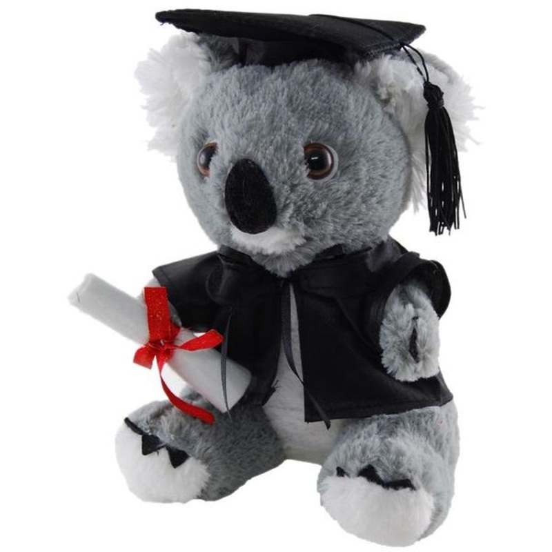 Graduation Koala - 18cm
