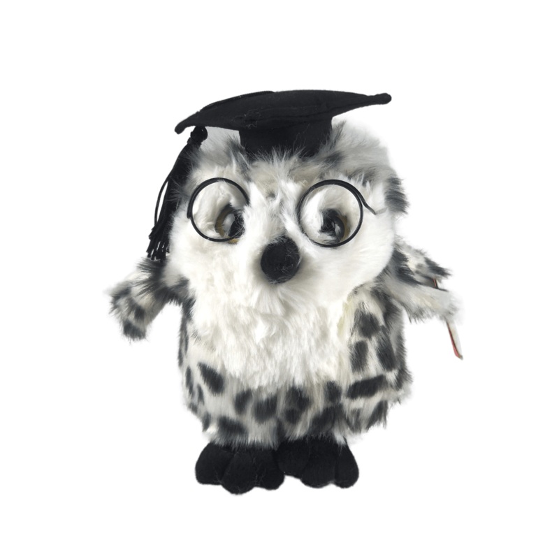 Graduation Owl - 18cm