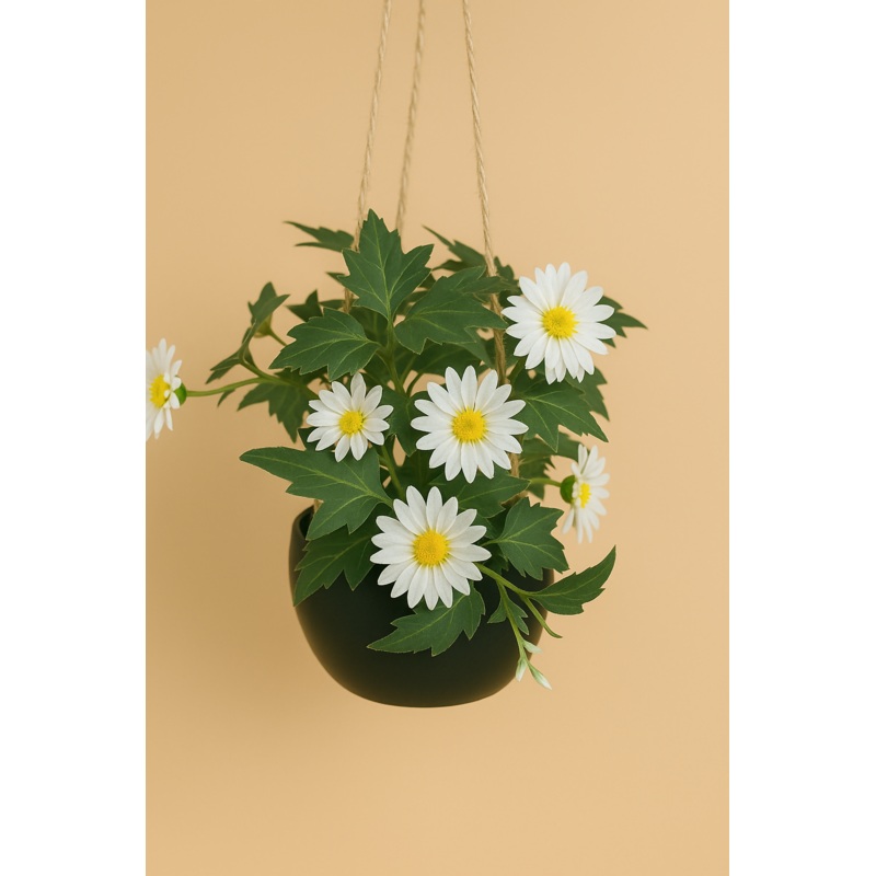 Daisy Bloom Hanging Planter