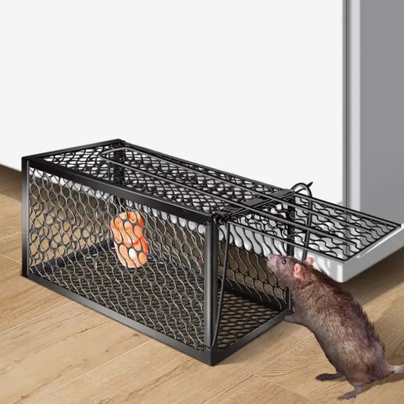 Foldable Live Mouse Trap  Easy Catch & Release Cage for Mice, Squirrels, Voles & Hamsters