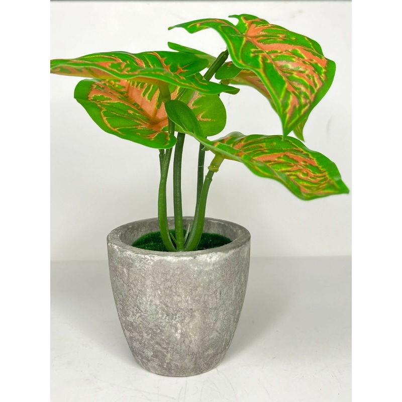 CoralBlush Syngonium Decorative Artificial Plants in Pots Indoor for Home Wall Desk Bedroom Restaurant Decoration, Realistic Lush Green Leaves