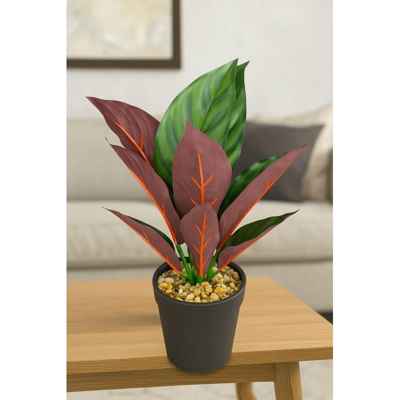 CrimsonSpire Prayer Plant