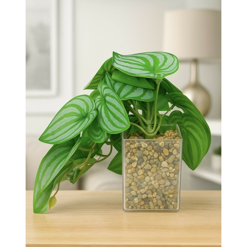 Zebra Verde Planter Ornamental Plant for Indoor and Outdoor, Home, Shop, Office, Restaurant Decor Dark Green (Pack of 1), Plastic
