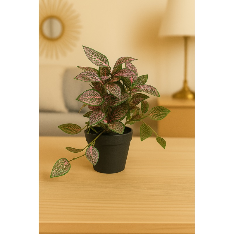BlushLeaf Fittonia Pot Ornamental Plant for Indoor and Outdoor, Home, Shop, Office, Restaurant Decor Dark Green (Pack of 1), Plastic