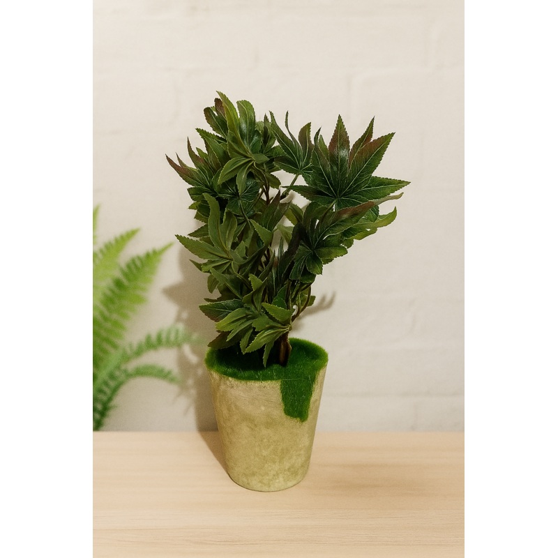 EverGreen Maple Bush Artificial plant Green leafy decor Indoor plant decoration Faux potted plant Home decor plant Tabletop greenery Decorative foliage Realistic artificial leaves Cement pot decor Low maintenance plant Office desk plant Modern