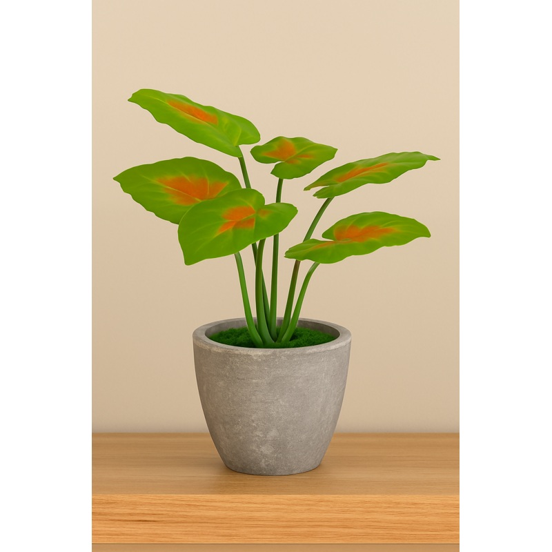 LeafAura Planter Ornamental Plant for Indoor and Outdoor, Home, Shop, Office, Restaurant Decor Dark Green (Pack of 1), Plastic