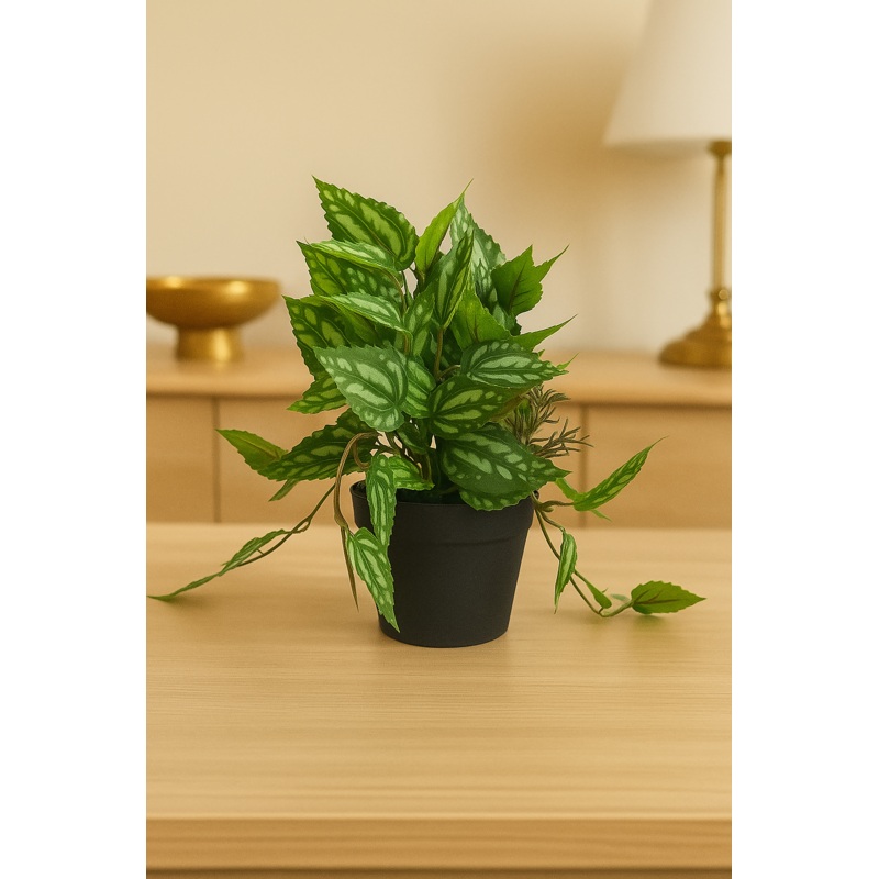 LeafLuxe Mini Planter Ornamental Plant for Indoor and Outdoor, Home, Shop, Office, Restaurant Decor Dark Green (Pack of 1), Plastic