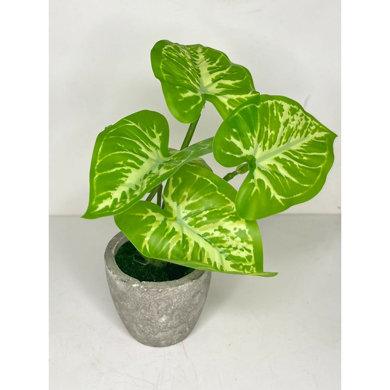 VerdeGlow Syngonium Desktop Faux Potted Plants Taro Potted Plants Artificial Potted Plants Artificial Eucalyptus Plants with Vase for Office Desk Home Farmhouse DecorTaro Plant & Money Plant