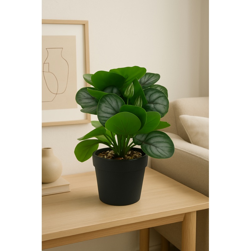 Decorative Artificial Calathea Plant with Buds in Black Pot