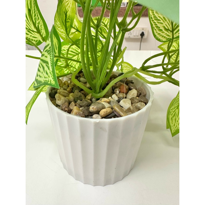 Variegated Nerve Leaf Artificial Plant in White Ribbed Pot