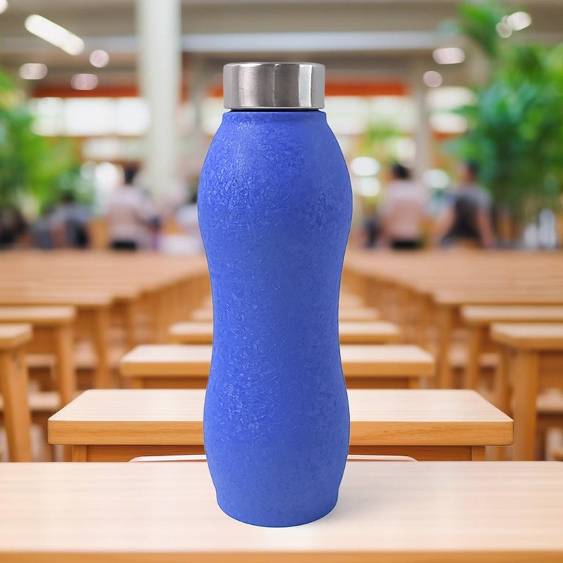 Customized / Personalized Stainless Steel Water Bottle (1000ML / Mix Colour / 1 Pc / Crocodile)