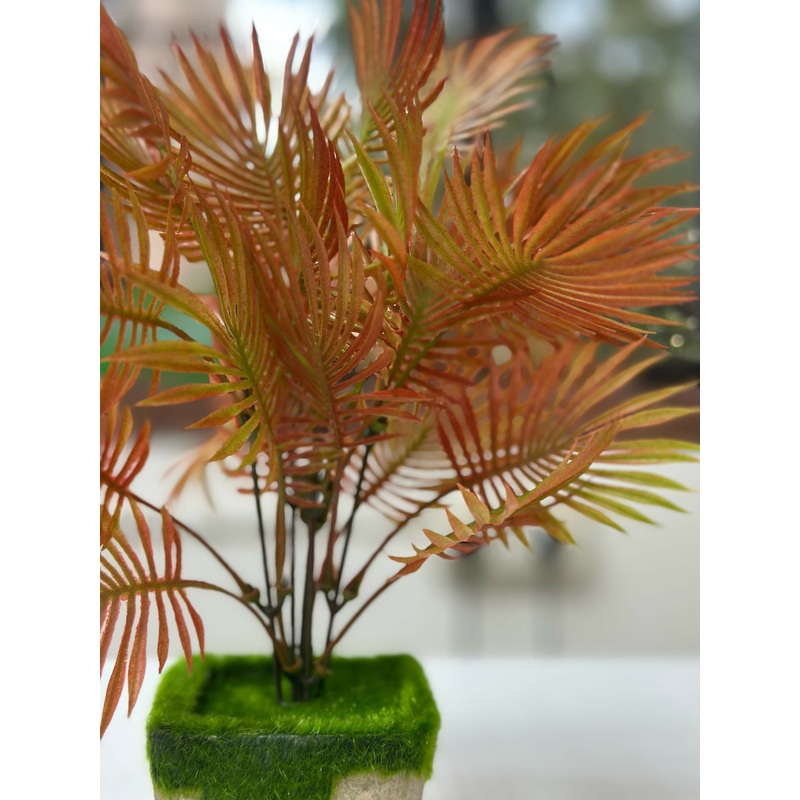 Autumn Flame Faux Palm in Moss Cement Planter