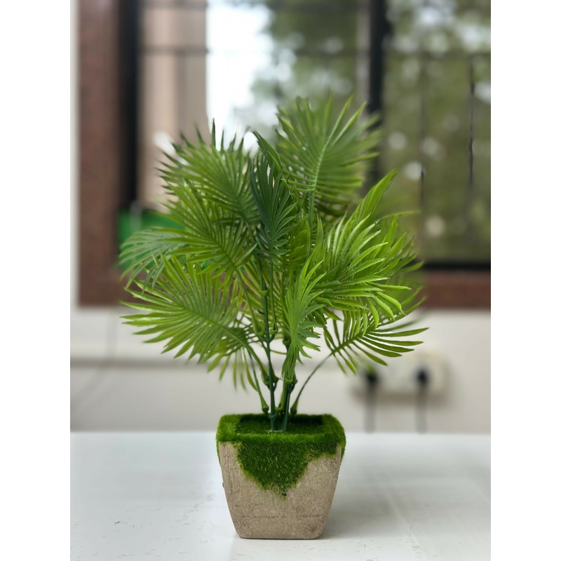 Tropical Breeze Faux Palm in Moss-Topped Cement Planter