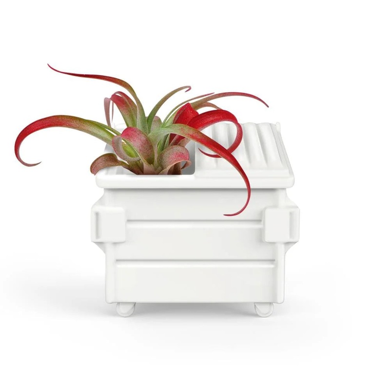 Dumpster Fire Planter (great for airplants or whatever)