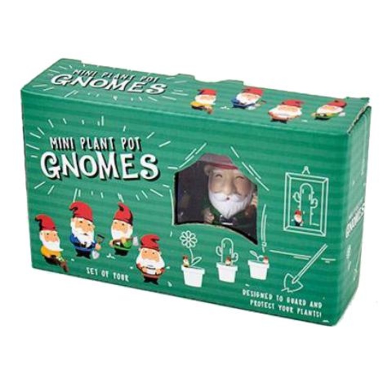 Mini Plant Pot  Gnomes