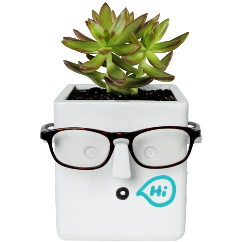 Face Plant Planter
