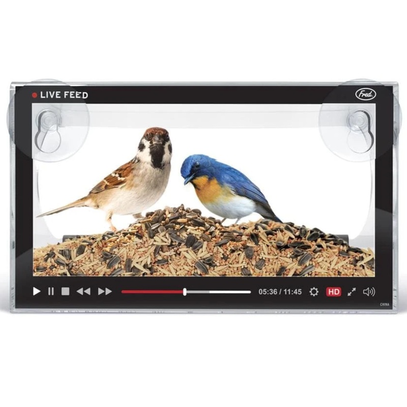 Live Feed - Watch Birds from your window