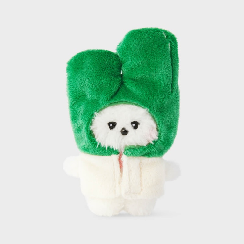 BT21 RJ mini minini VEGGIE Doll