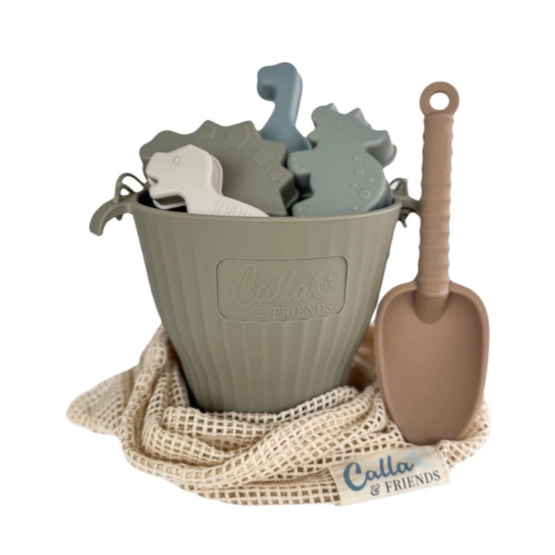 Dinosaur Beach Toy Set